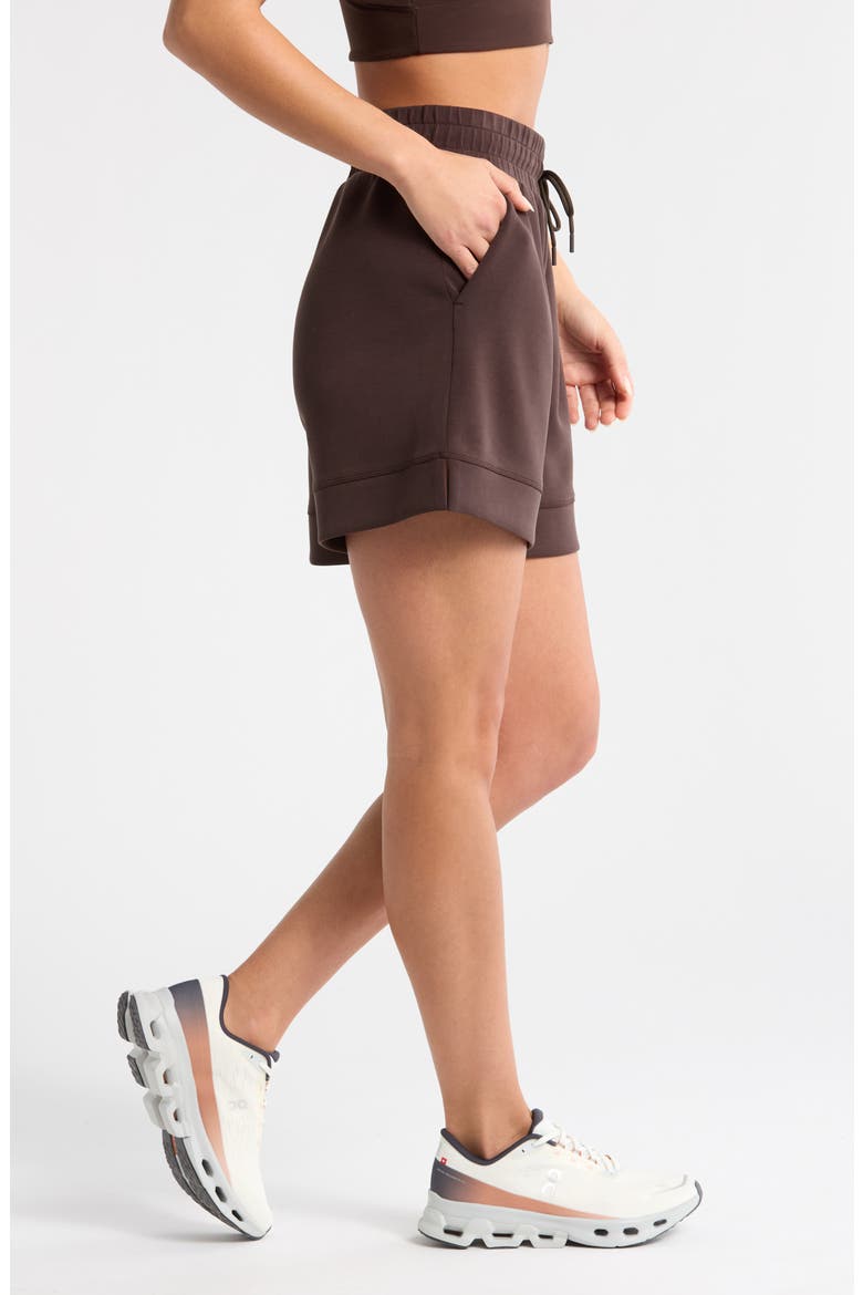 Soft Luxe High Waist Knit Shorts, Alternate, color, BROWN MOLE'