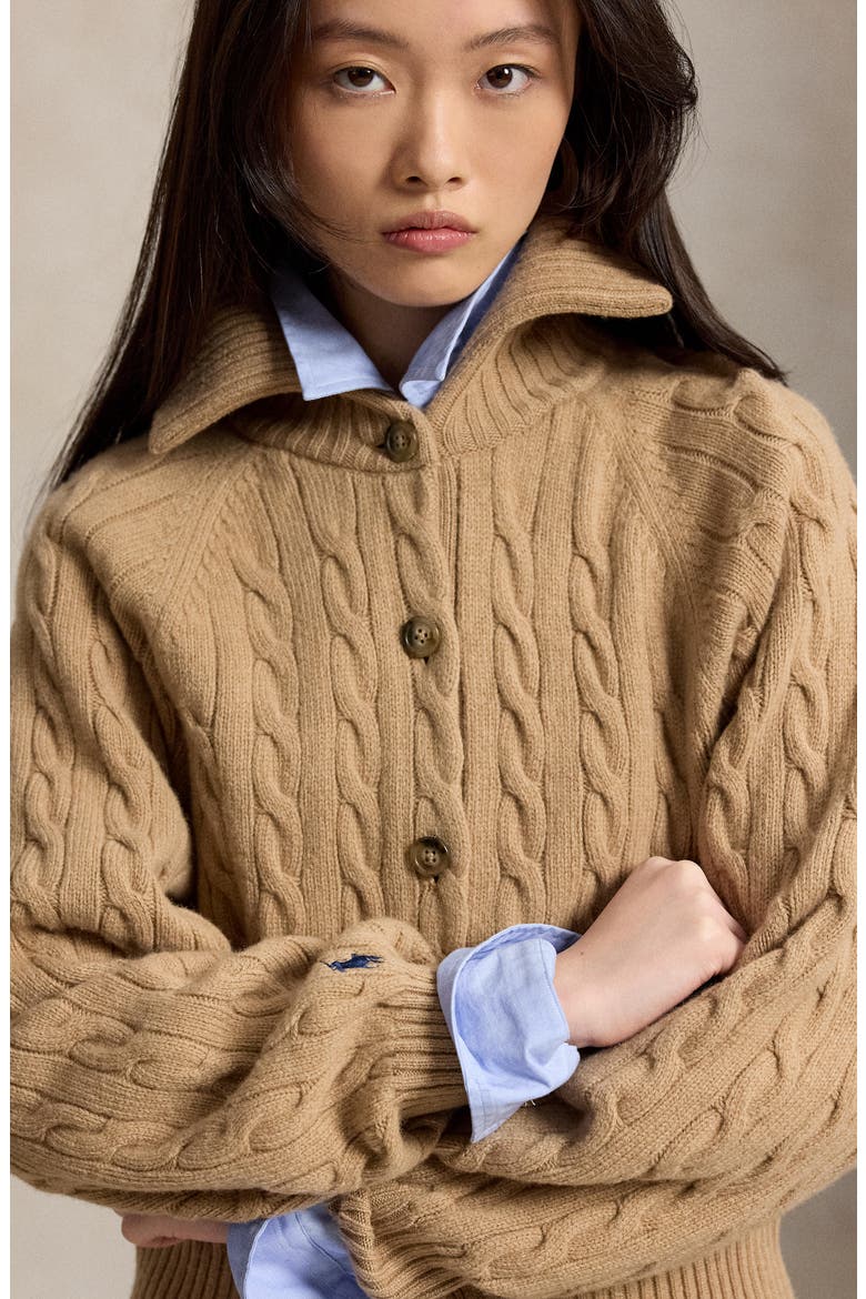 Cable Knit Wool & Cashmere Cardigan, Alternate, color, CL CAM MEL
