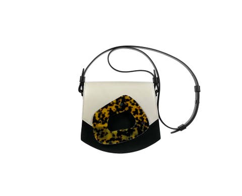 LE MIDI AMORPHE XBODY