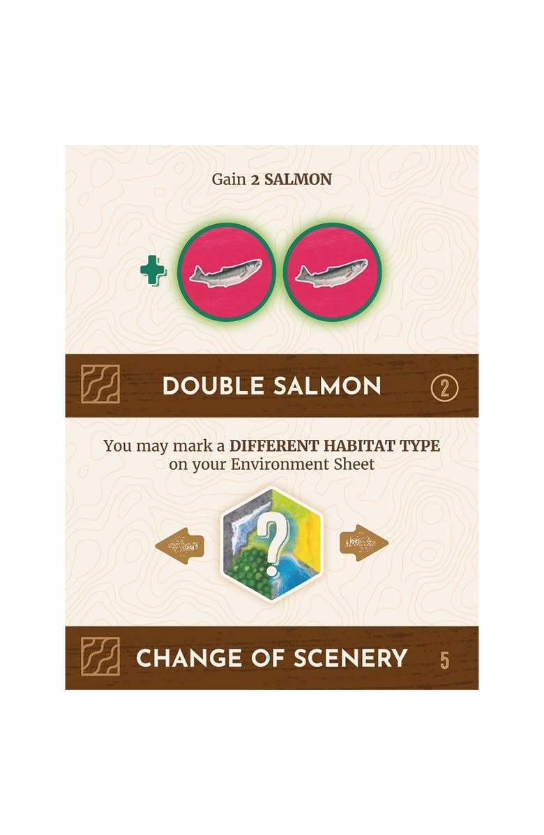 AEG Cascadia Rolling Rivers Puzzly Fliprollwrite Board Game, Alternate, color, Multicolored