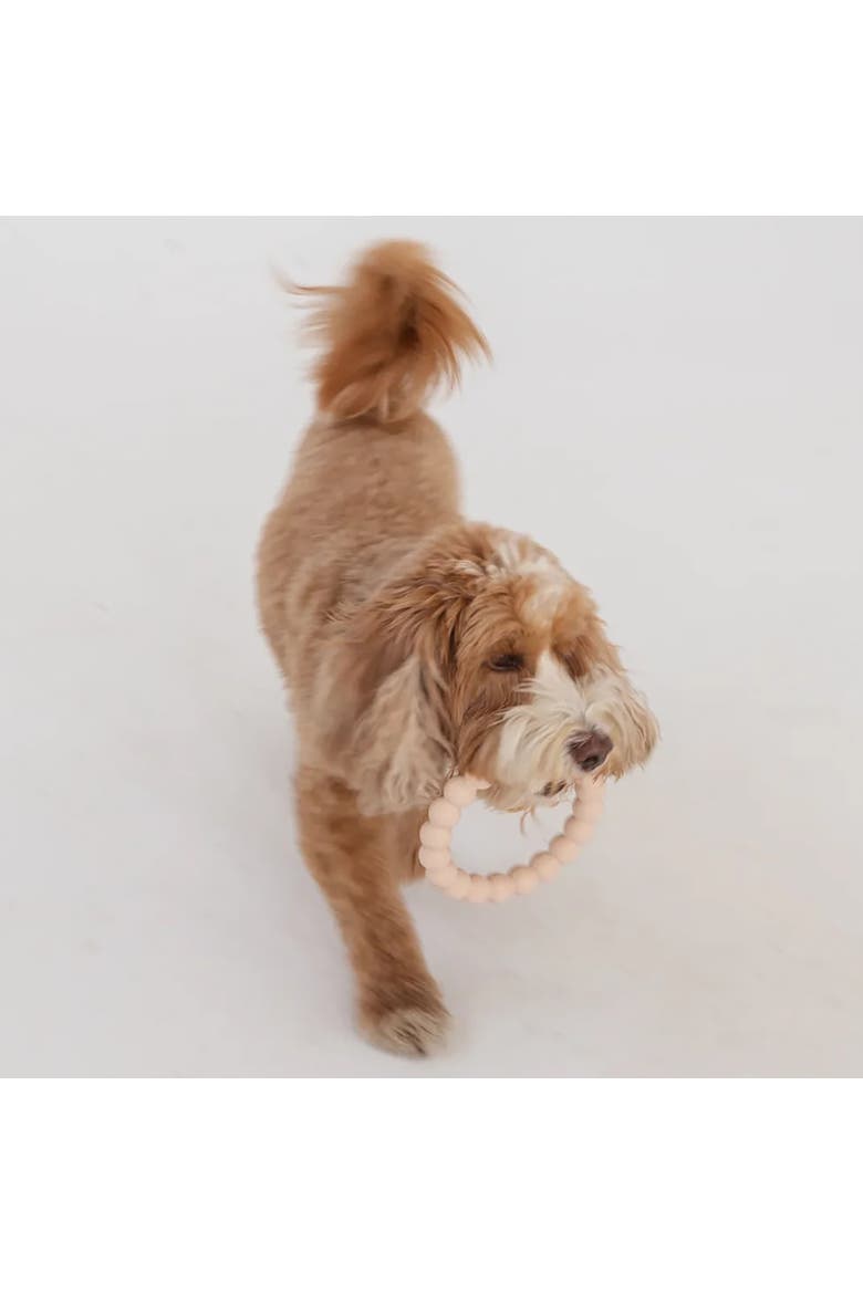 Super Chew Rings 2 Piece Dog Teething Toys, Alternate, color, Beige