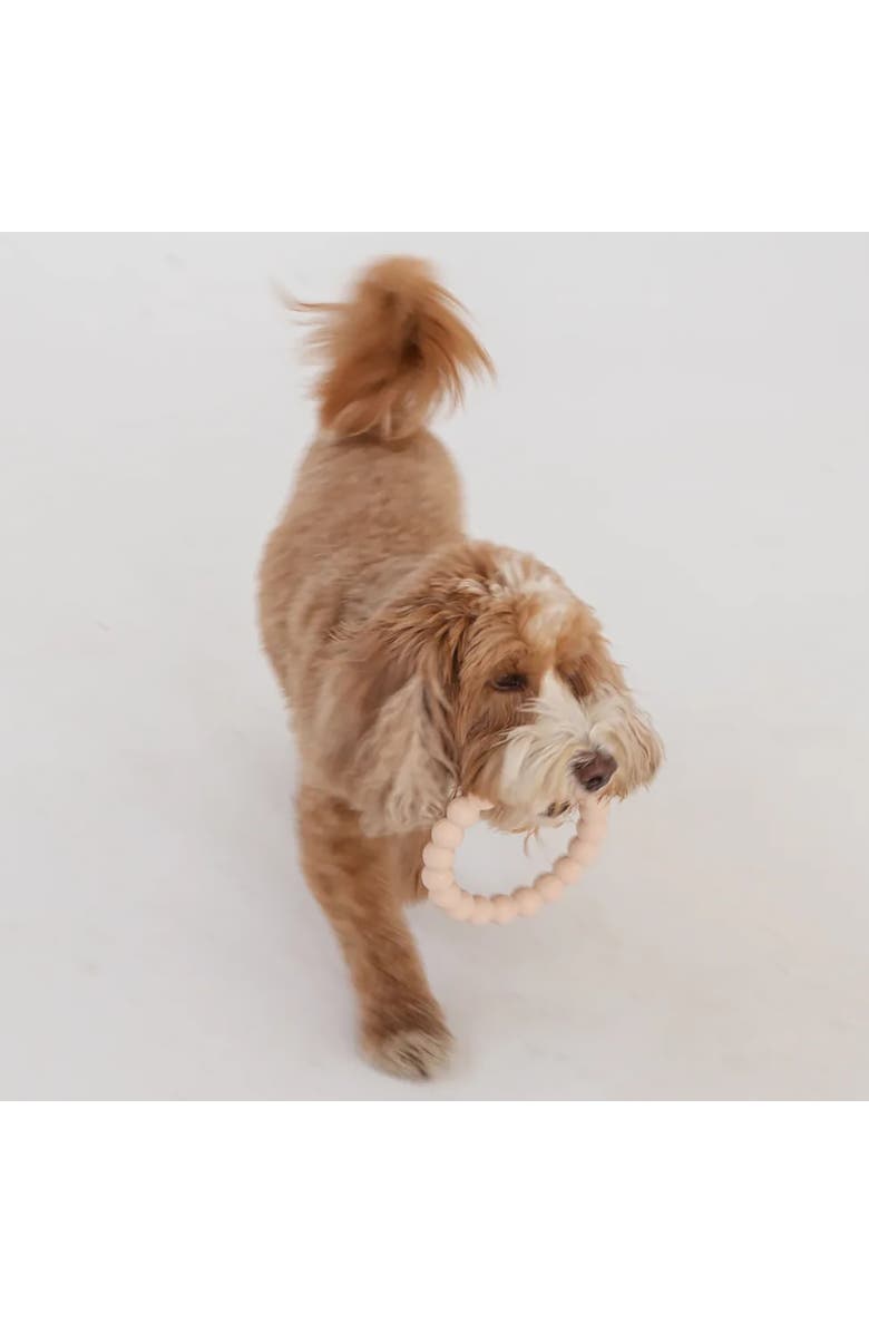 Dexypaws Super Chew Rings 2 Piece Dog Teething Toys, Alternate, color, Beige