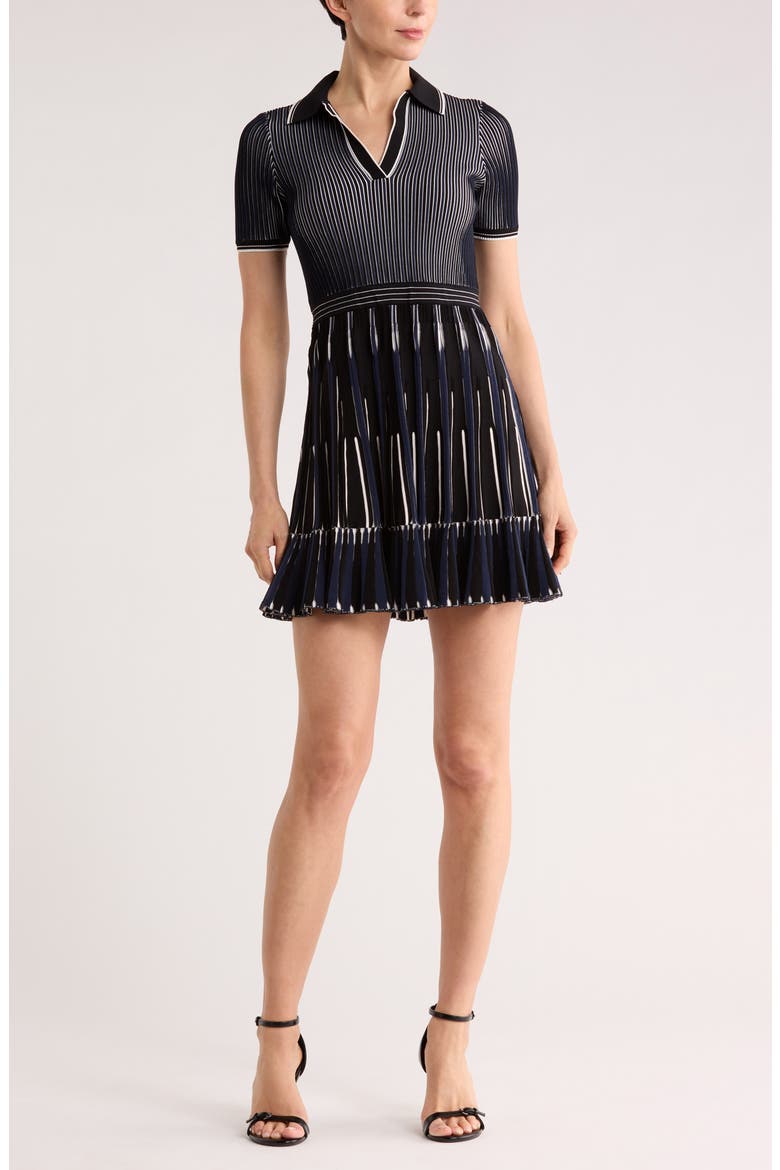 Weslee Polo Minidress, Main, color, MIDNIGHT MULTI