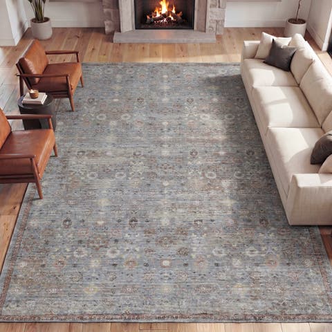 Petunia Distressed All-Over Floral Border Non-Slip Machine-Washable Rug