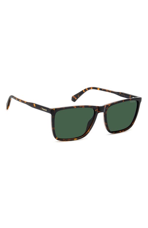Polaroid 58mm Polarized Rectangular Sunglasses In Havana/green Polar