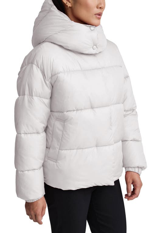 Nvlt Cire Wonder Puffer Jacket With Removable Hood In Animal Print