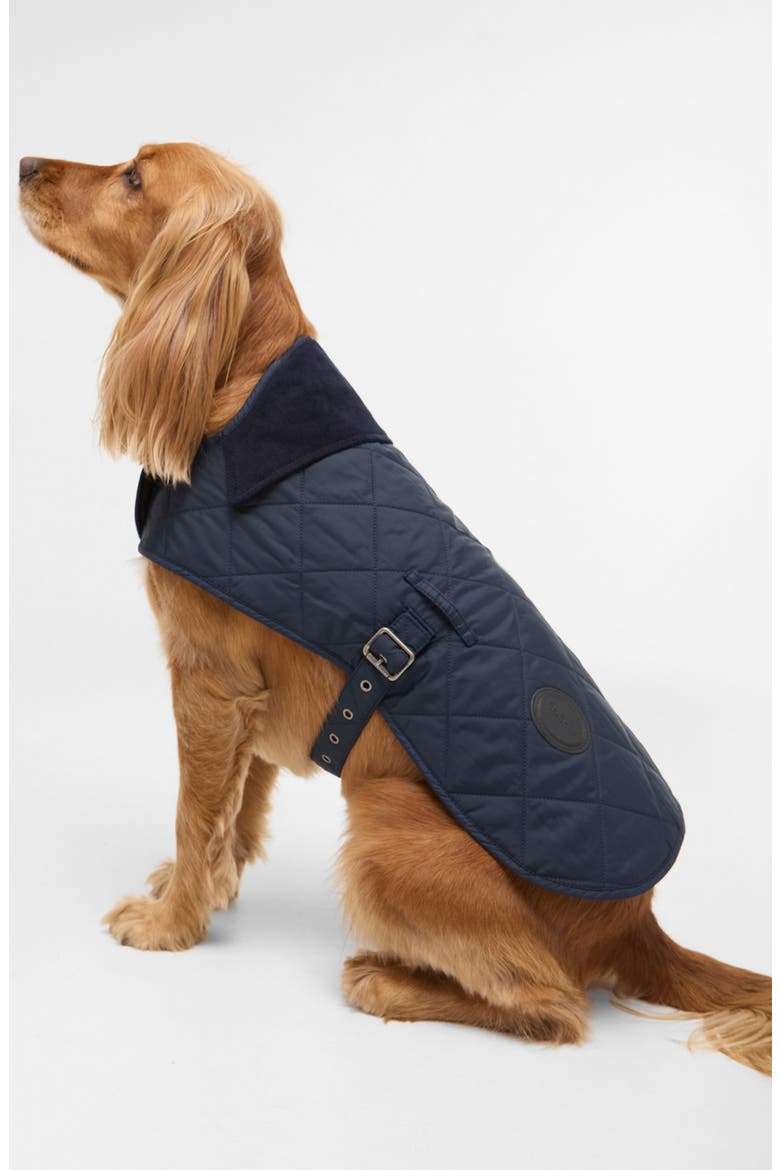 Quilted Nylon Dog Coat, Main, color, DARK NAVY