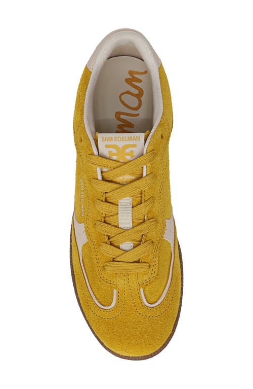 Sam Edelman Kallen Sneaker Saffron Yellow Suede In Saffron Yellow