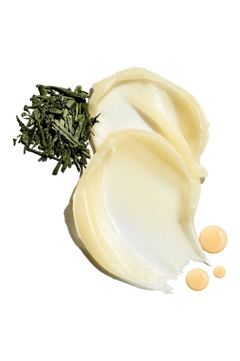 Intense Therapy Lip Balm SPF 25 Duo (Nordstrom Exclusive), Alternate, color, PINEAPPLE MINT