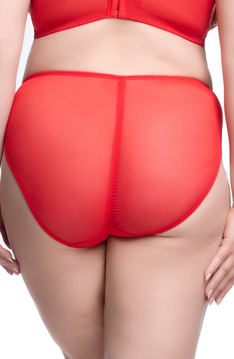 Dita Von Teese Nom de Plume High Cut Briefs, Alternate, color, Flame