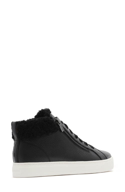 Frankie4 Miles Genuine Shearling Lined Sneaker