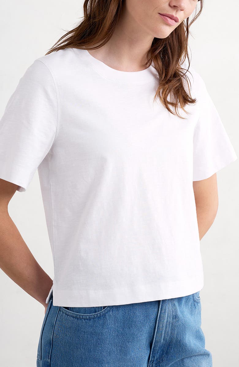 Seasalt Cornwall Copseland Organic Cotton T-Shirt, Main, color,