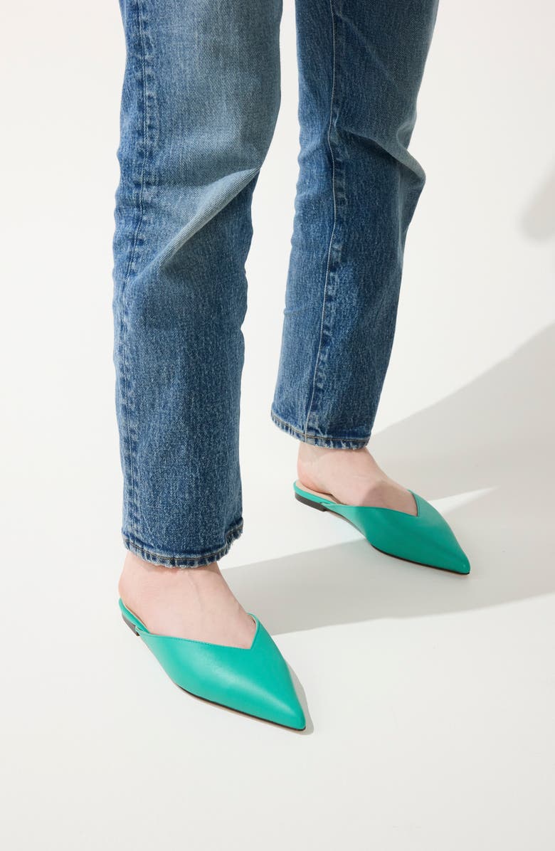 Yosi Samra Nera Pointed Toe Flat, Alternate, color, Teal