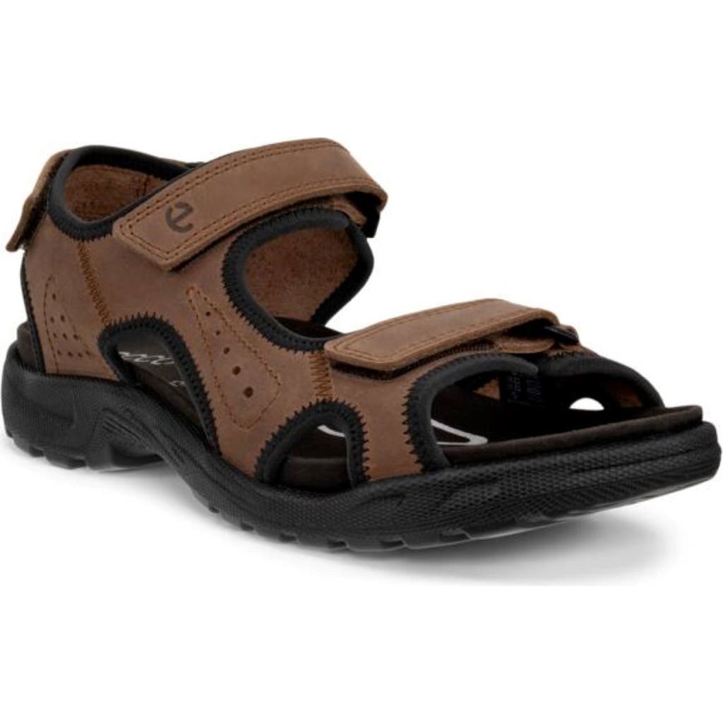 Ecco Hike Sandal
