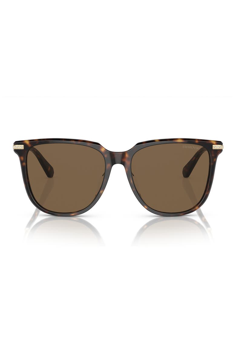55mm Square Sunglasses, Main, color, DARK HAVANA / BROWN