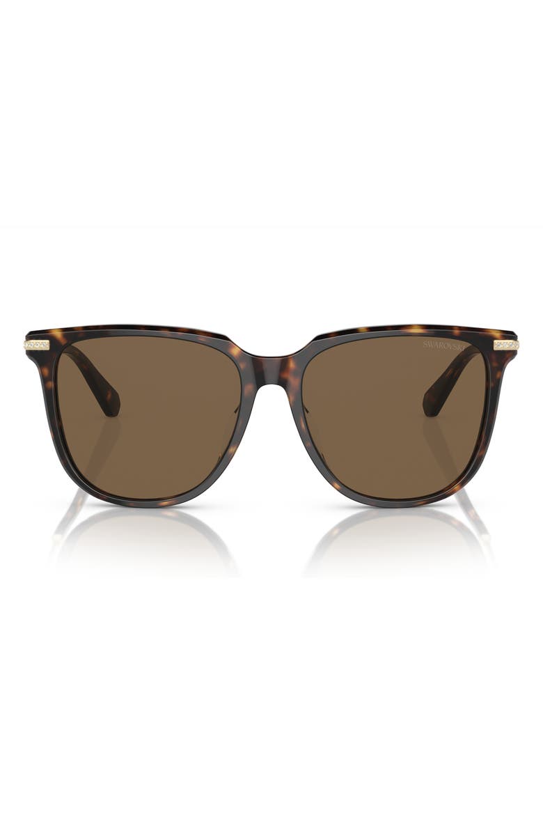 Swarovski 55mm Square Sunglasses, Main, color, Dark Havana / Brown