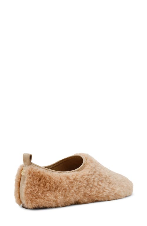 Steve Madden Mino Mesh Flat In Brown