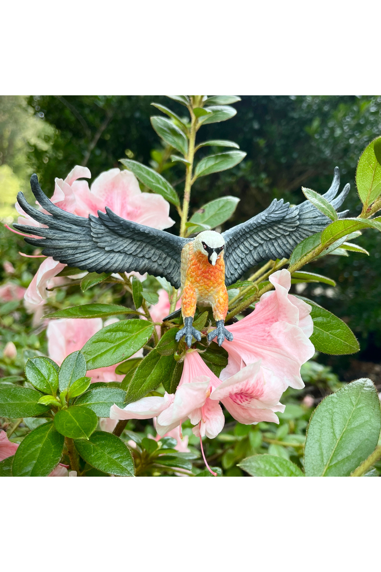 Bearded Vulture Kids Toy Figure, Alternate, color, None