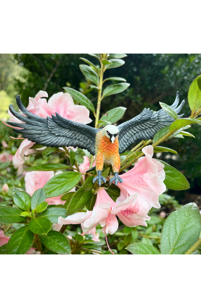 Safari Ltd. Bearded Vulture Kids Toy Figure, Alternate, color, NO COLOR