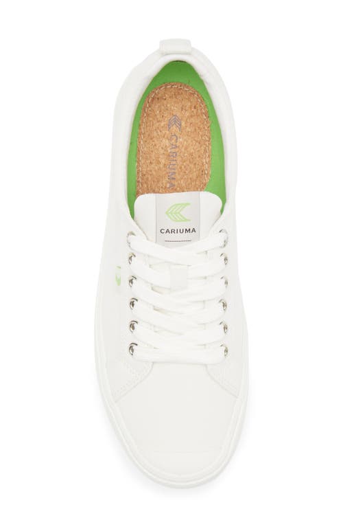 Cariuma Oca Low Cap Tie Sneaker In White