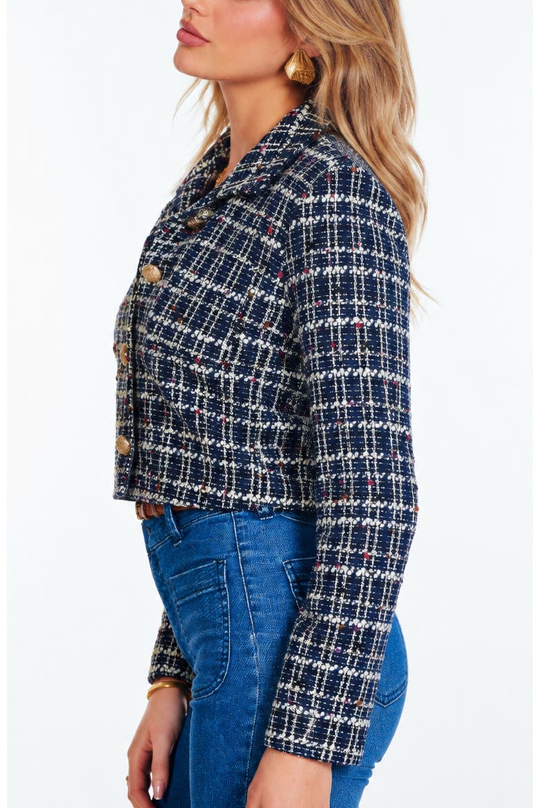Carlton Beaucle Jacket, Alternate, color, Navy Multi
