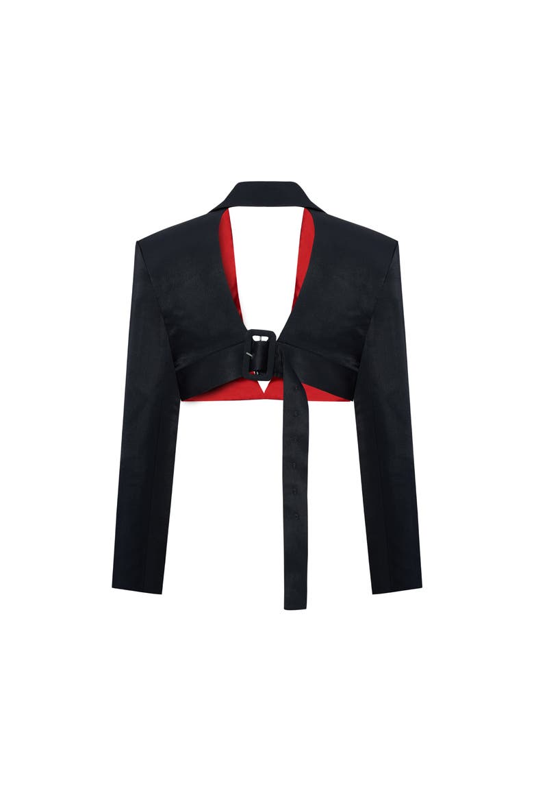 Linen Blend Crop Shiny Woven Jacket, Alternate, color, BLACK