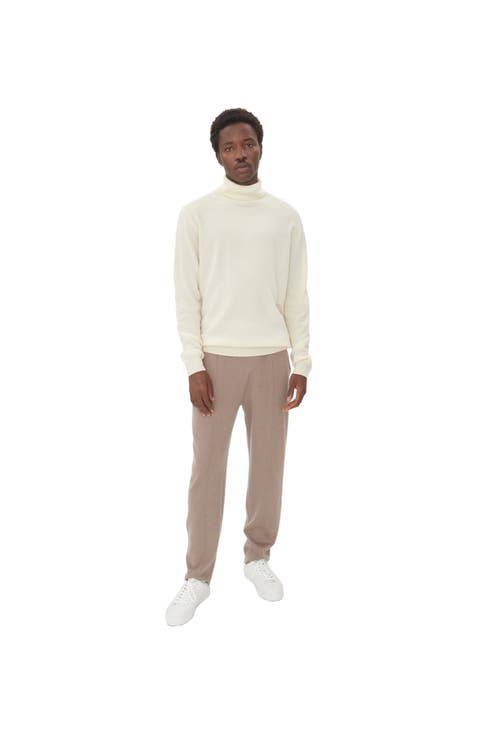 Essential Cashmere Turtle Neck Sweater