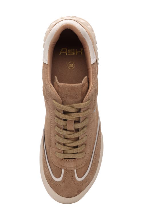 Ash Podium Sneaker In Noisette/gardenia
