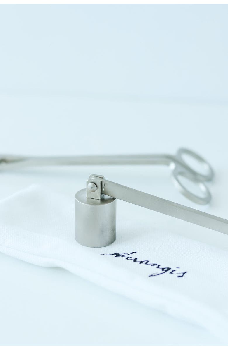 Aerangis Signature Stainless Steel Candle Care Set, Alternate, color, Silver