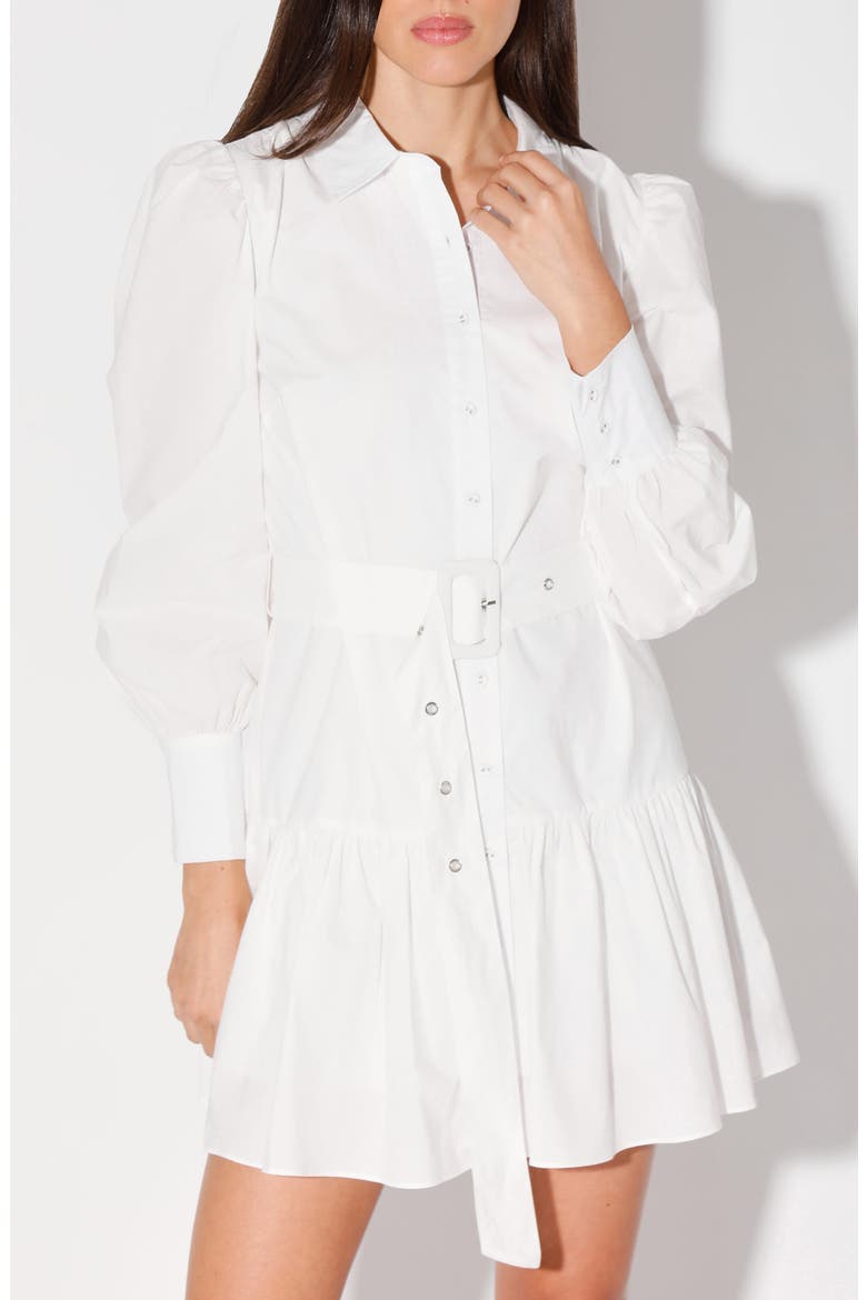 Tara Puff Sleeve Belted Shirt Dress, Alternate, color, WHITE