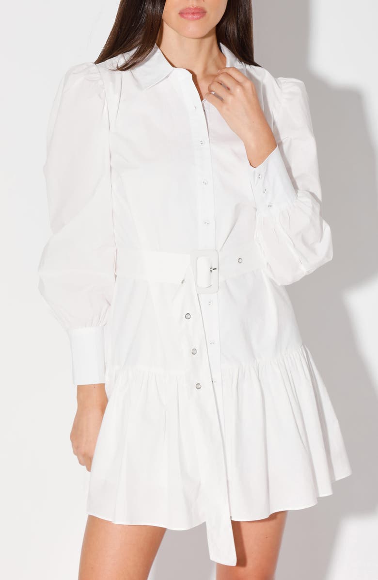 Walter Baker Tara Puff Sleeve Belted Shirt Dress, Alternate, color, 