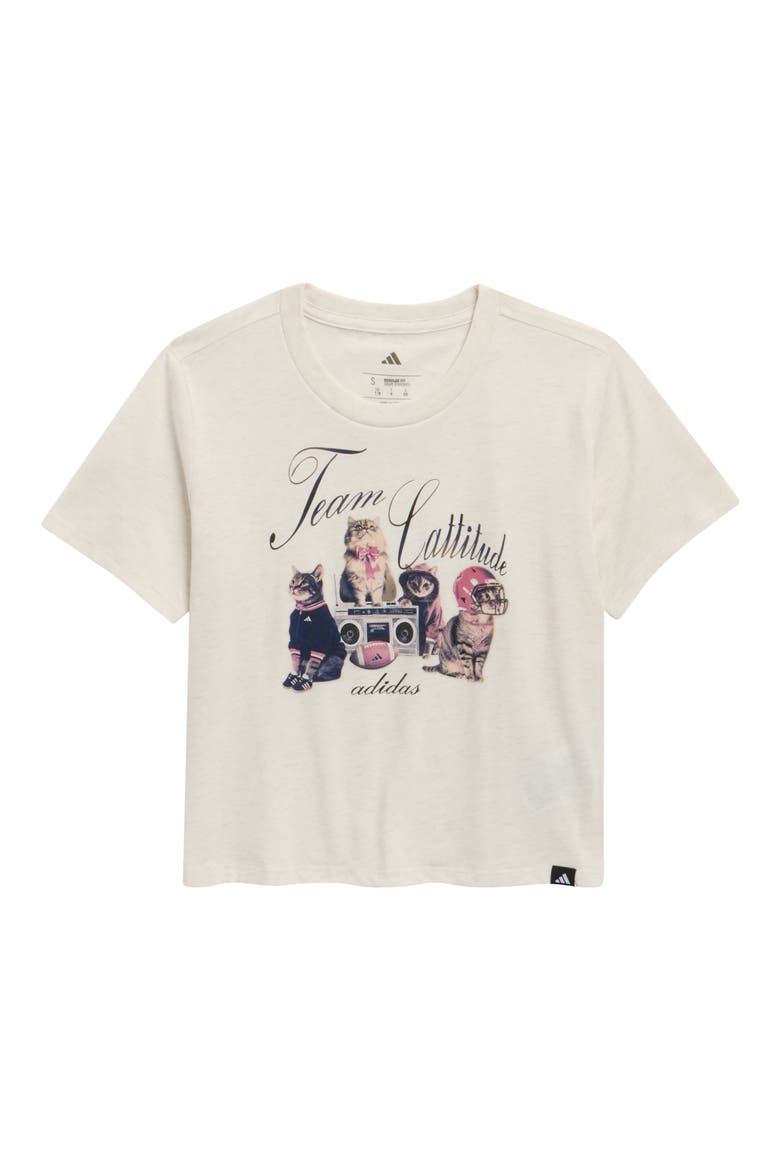 Kids' Graphic Jersey T-Shirt, Main, color, OATMEAL HEATHER