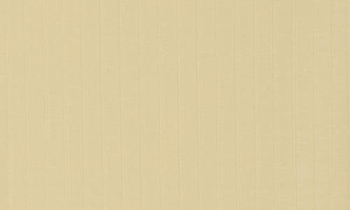 Eileen Fisher Funnel Neck Top In Butter