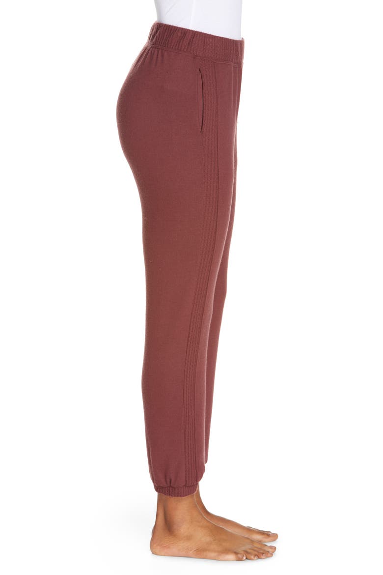 Side Stripe Joggers, Alternate, color, COFFEE BERRY