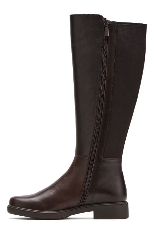 Abeo Compass Stretch In Dark Brown - Regular