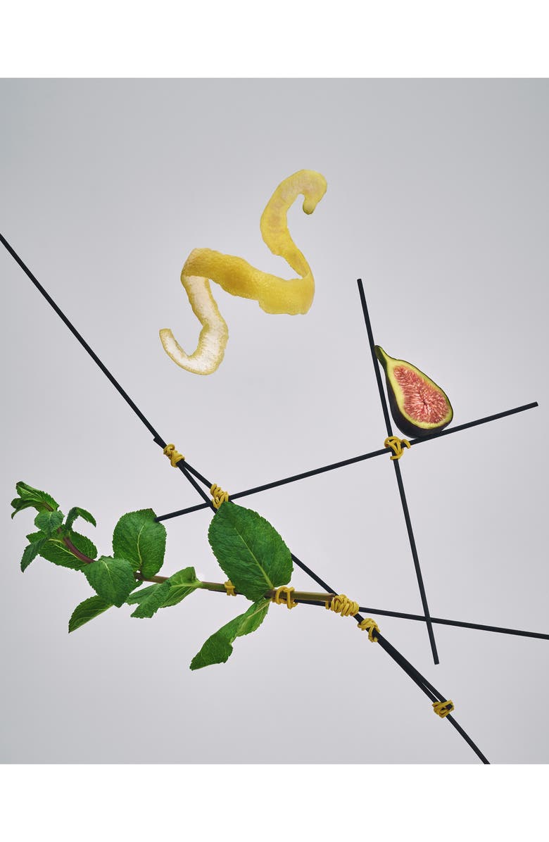 Bon Parfumeur 01 Basil, Fig & Mint Reed Diffuser, Alternate, color,