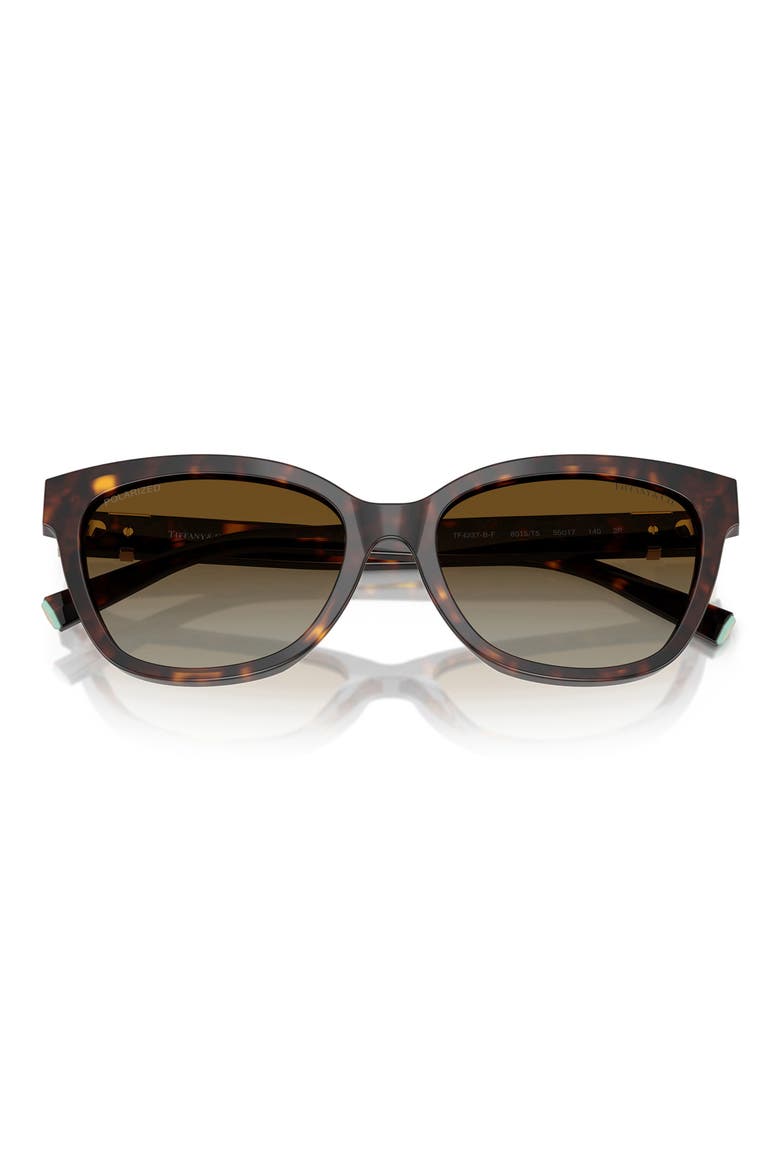 55mm Polarized Gradient Cat Eye Sunglasses, Alternate, color, HAVANA/ POLAR BROWN GRADIENT