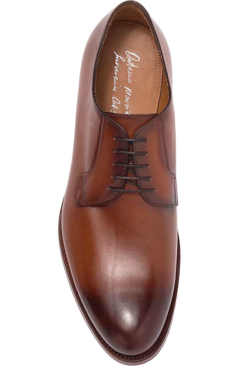 ANTONIO MAURIZI Burnished Leather Derby, Main, color,
