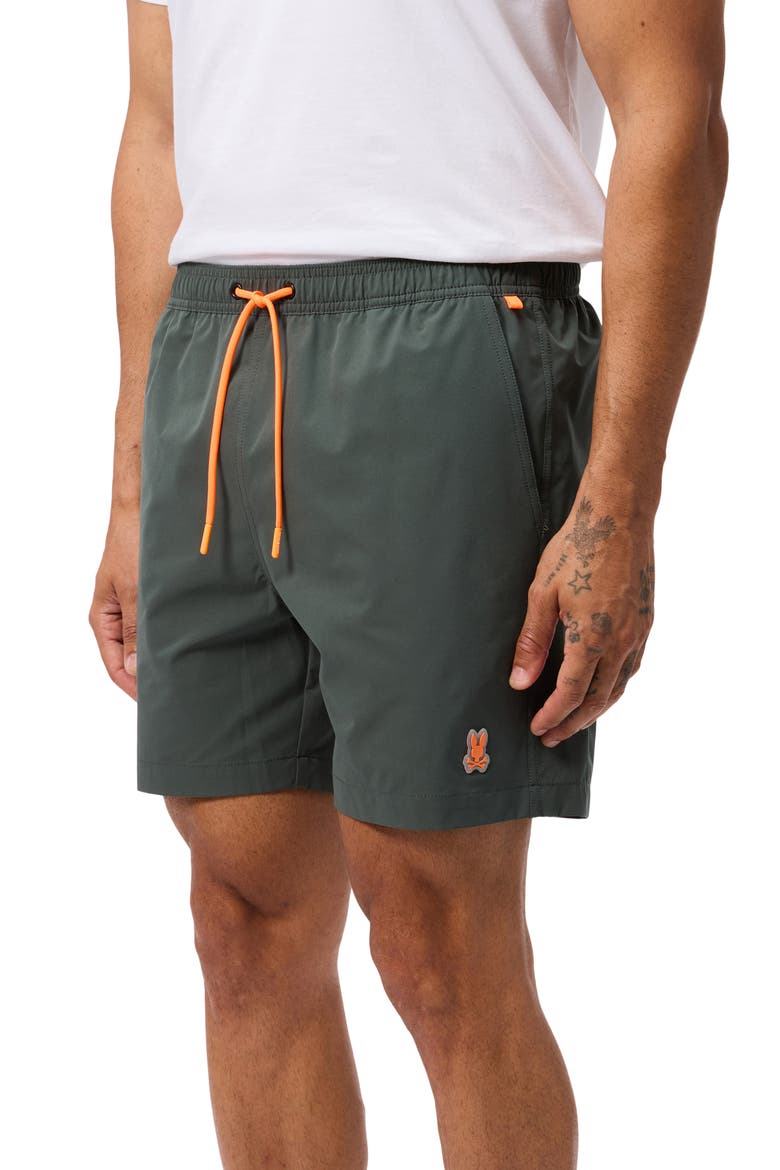 Palm View Hydrochromic Swim Trunks, Alternate, color, URBAN CHIC
