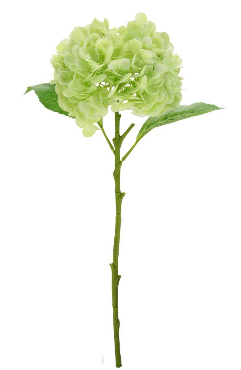 Mark Roberts Vibrant Hydrangea Natural Touch, Box of 6, Alternate, color, Light Green