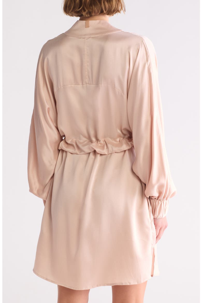 Washable Silk Robe, Alternate, color, DELICATE PINK