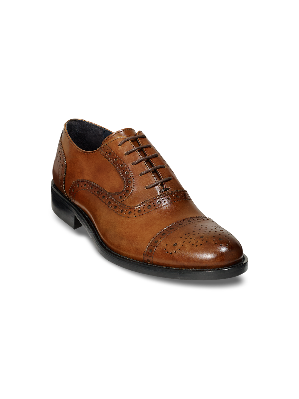 Paul Fredrick Joey Oxford, Main, color, Chestnut