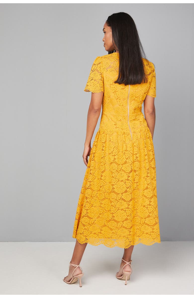 Wallis Lace Button Detail Drop Hem Midi Dress, Alternate, color, Mustard