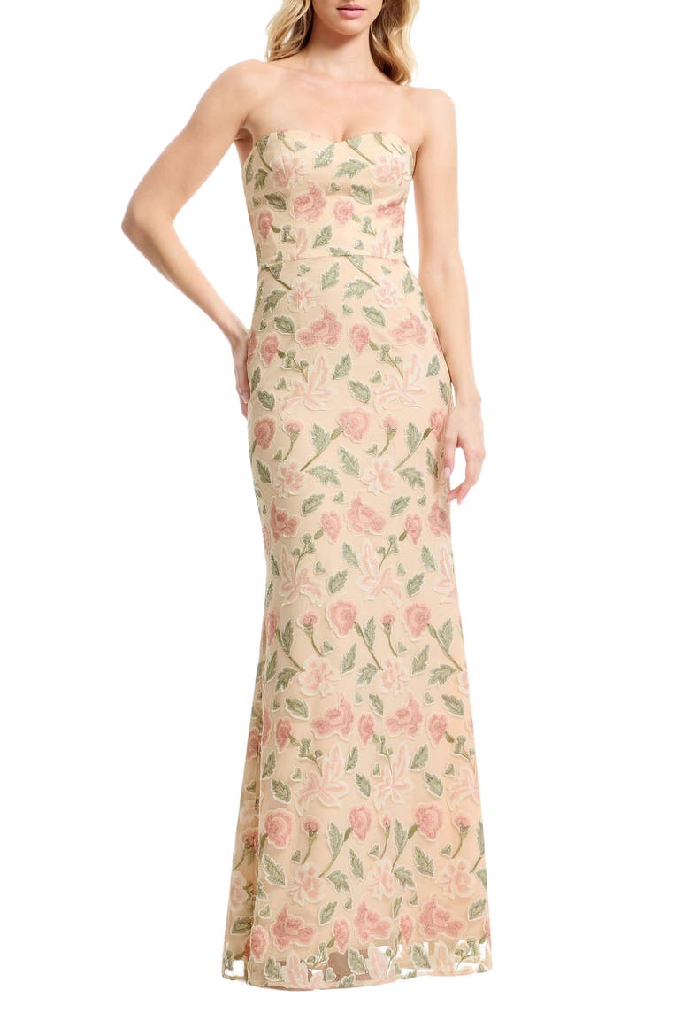 Sheridan Floral Appliqué Strapless Column Dress, Main, color, BLUSH MULTI