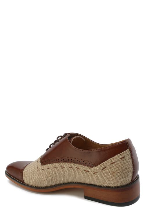 Gino Vitale Cap Toe Oxford In Brown/natural