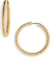 Established 18k Gold Rope Hoop Earrings
