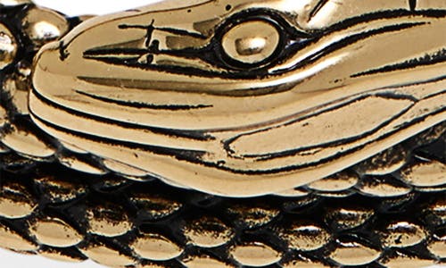 Chloé Snake Choker In Gold
