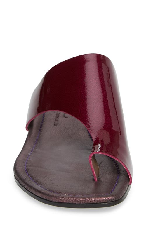 Agl Attilio Giusti Leombruni Asymmetrical Toe Thong Sandal In Pink