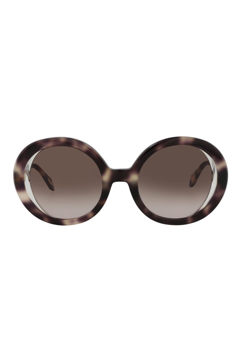 51mm Round Sunglasses, Main, color, HAVANA HAVANA BROWN