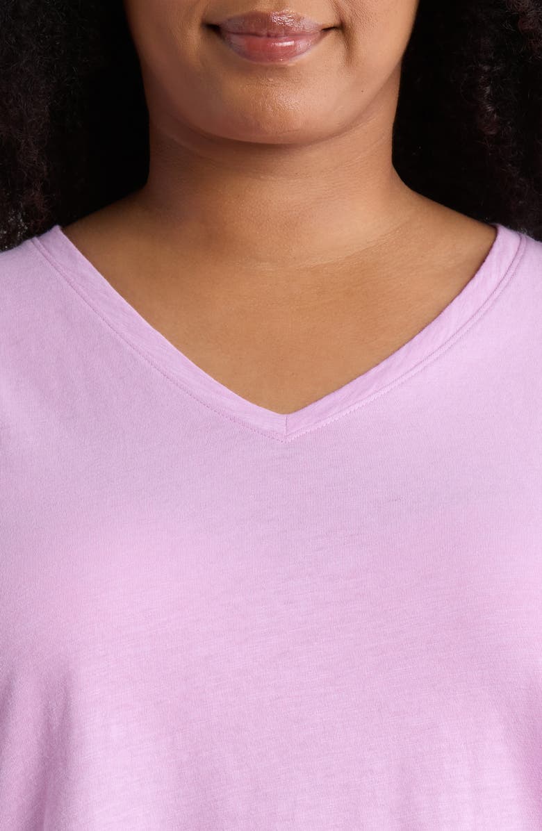 Eileen Fisher Easy Organic Cotton V-Neck T-Shirt, Alternate, color, Bright Aster